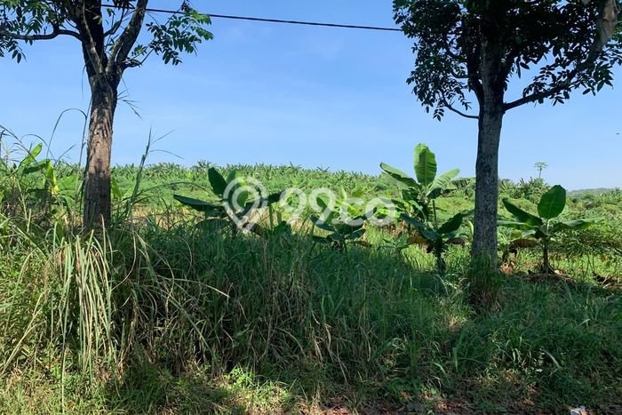 Lahan Kosong Dijual di Cilaku, Cianjur, Luas 270000m2 Area Strategis Lahan Kosong Dijual di Cilaku, Cianjur, Luas 270000m2 Area Strategis