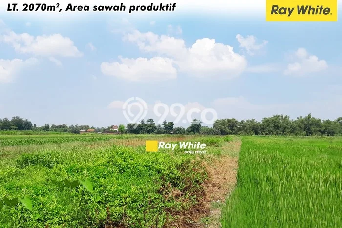 Tanah Strategis Dijual di Wonosari Klaten 2070m2 Tanah Strategis Dijual di Wonosari Klaten 2070m2