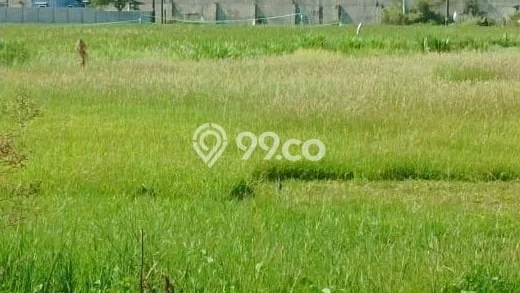 Disewakan Tanah di Jaten Luas 4800m2 SHM Disewakan Tanah di Jaten Luas 4800m2 SHM