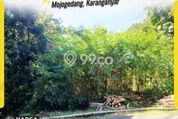 Tanah untuk Dijual di Mojogedang Karanganyar Luas 1300m2 Tanah untuk Dijual di Mojogedang Karanganyar Luas 1300m2