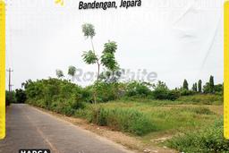Tanah di Jepara, Jepara Luas 533m2 Dijual Segera Tanah di Jepara, Jepara Luas 533m2 Dijual Segera