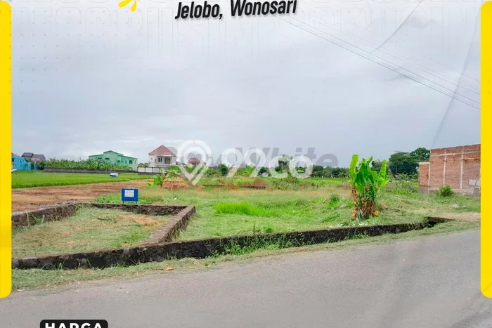 Jarang Ada! Tanah di Wonosari Punya Luas 2413m2 SHM Jarang Ada! Tanah di Wonosari Punya Luas 2413m2 SHM