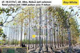 Lahan Strategis di Giriwoyo Dijual dengan Luas 10517m2 Lahan Strategis di Giriwoyo Dijual dengan Luas 10517m2