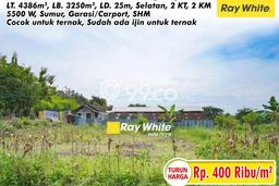 Lahan Kosong Dijual di Gondangrejo, Karanganyar, Luas 4386m2 Area Strategis Lahan Kosong Dijual di Gondangrejo, Karanganyar, Luas 4386m2 Area Strategis