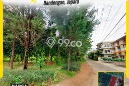 Tanah untuk Dijual Lokasi Jepara, Jepara Luas 13000m2 SHM Tanah untuk Dijual Lokasi Jepara, Jepara Luas 13000m2 SHM