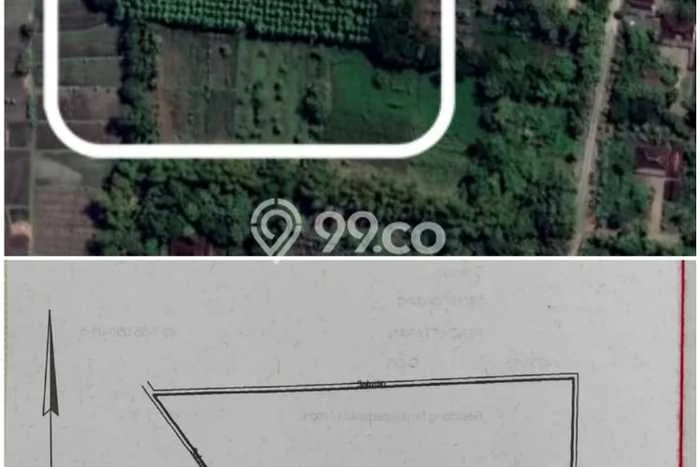 Tanah untuk Dijual di Giriwoyo Wonogiri Luas 6549m2 Tanah untuk Dijual di Giriwoyo Wonogiri Luas 6549m2