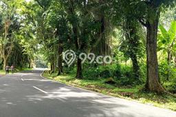 Tanah di Plered, Purwakarta Luas 4800m2 Dijual Segera Tanah di Plered, Purwakarta Luas 4800m2 Dijual Segera
