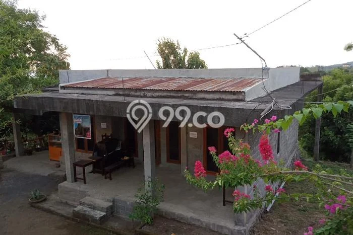 Rumah Modern Cantik 3 Kamar Bisa Langsung Pindah di Buleleng Rumah Modern Cantik 3 Kamar Bisa Langsung Pindah di Buleleng