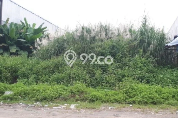 For Rent Tanah di Semarang Barat, Luas 1000m², Akses Bagus, Area Premium For Rent Tanah di Semarang Barat, Luas 1000m², Akses Bagus, Area Premium