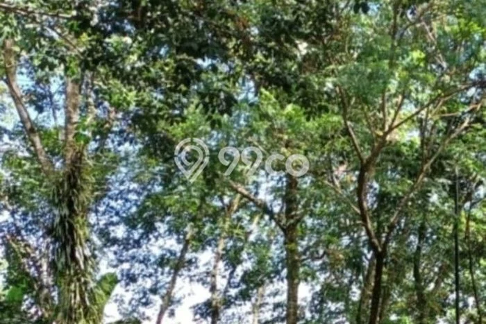 Tanah untuk Dijual di Semarang Barat Semarang Luas 1800m2 Tanah untuk Dijual di Semarang Barat Semarang Luas 1800m2