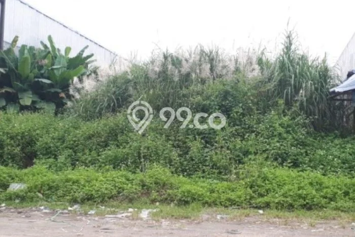 For Rent Tanah di Semarang Barat, Luas 1000m², Akses Bagus, Area Premium For Rent Tanah di Semarang Barat, Luas 1000m², Akses Bagus, Area Premium
