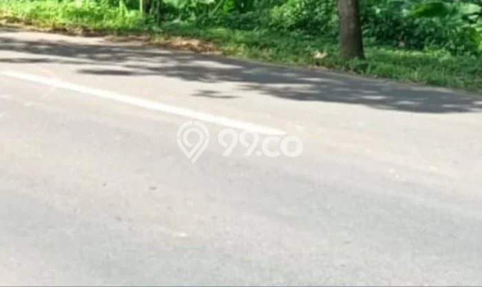 Tanah untuk Dijual di Semarang Barat Semarang Luas 1800m2 Tanah untuk Dijual di Semarang Barat Semarang Luas 1800m2