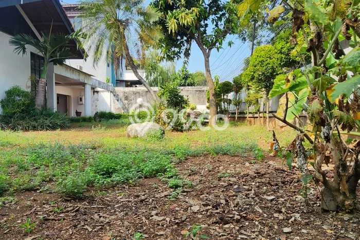 Jual Rumah Mewah Elegan Dengan View Cantik di Kemang, Jakarta Selatan Jual Rumah Mewah Elegan Dengan View Cantik di Kemang, Jakarta Selatan