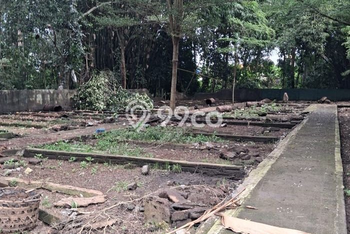 Disewakan Segera Tanah di Ubud Luas 2700m2 Area Potensial Disewakan Segera Tanah di Ubud Luas 2700m2 Area Potensial