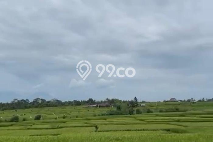 Tanah Disewa Strategis di Badung Luas 6900m2 Tanah Disewa Strategis di Badung Luas 6900m2