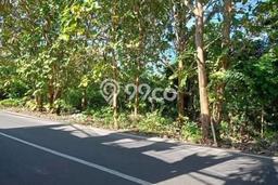 Tanah Kavling Dijual di Kutuh, Badung dengan Luas Tanah 1500m2 Tanah Kavling Dijual di Kutuh, Badung dengan Luas Tanah 1500m2