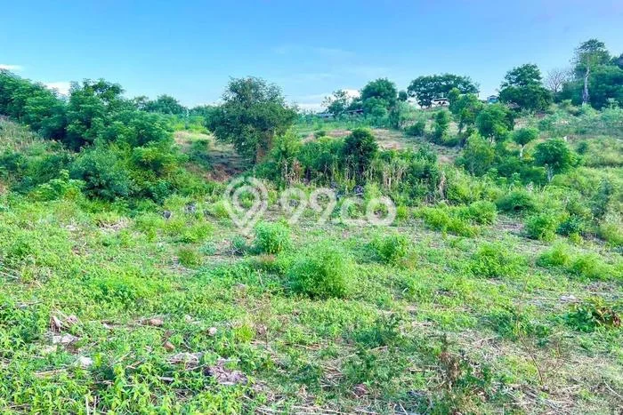 Tanah Investasi Dijual di Lombok Tengah Punya Luas 1700m2 Tanah Investasi Dijual di Lombok Tengah Punya Luas 1700m2