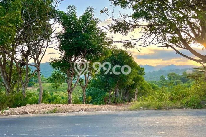 Tanah Investasi Dijual di Lombok Tengah Punya Luas 1700m2 Tanah Investasi Dijual di Lombok Tengah Punya Luas 1700m2