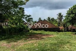 Lahan Kosong Dijual di Tabanan, Tabanan, Luas 2100m2 Area Strategis Lahan Kosong Dijual di Tabanan, Tabanan, Luas 2100m2 Area Strategis