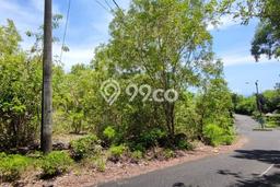 Tanah Kavling Dijual di Ungasan, Badung dengan Luas Tanah 2500m2 Tanah Kavling Dijual di Ungasan, Badung dengan Luas Tanah 2500m2