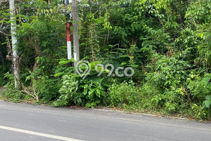 Tanah Disewa Strategis di Badung Luas 4600m2 Tanah Disewa Strategis di Badung Luas 4600m2