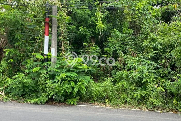 Tanah Disewa Strategis di Badung Luas 4600m2 Tanah Disewa Strategis di Badung Luas 4600m2