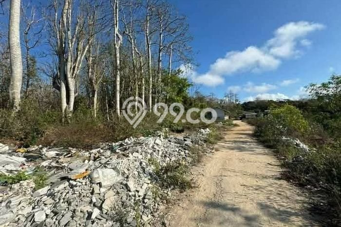 Tanah Siap Bangun Dijual di Badung Punya Luas 15600m2 Tanah Siap Bangun Dijual di Badung Punya Luas 15600m2