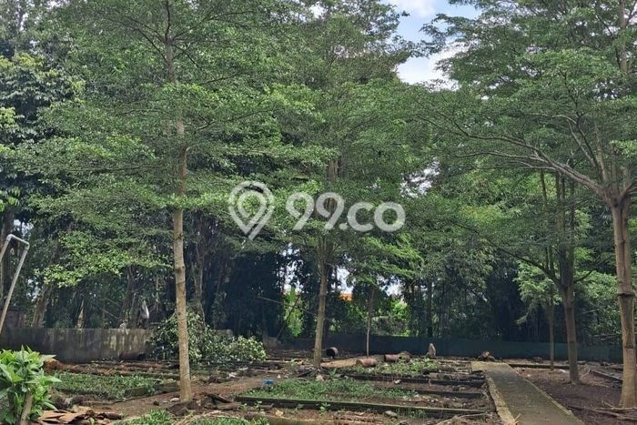 Disewakan Segera Tanah di Ubud Luas 2700m2 Area Potensial Disewakan Segera Tanah di Ubud Luas 2700m2 Area Potensial