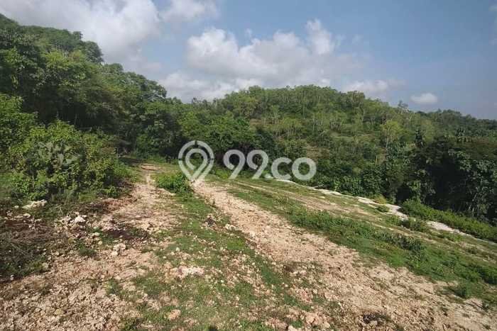 Tanah Dijual di Badung Seluas 2500m2 Strategis Tanah Dijual di Badung Seluas 2500m2 Strategis