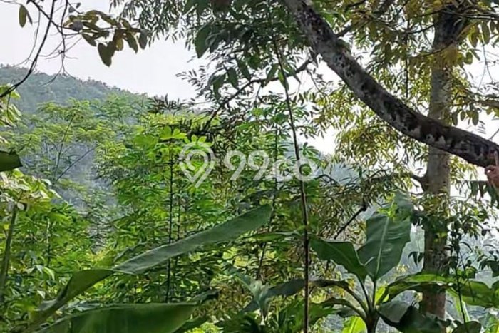 Kavling Tanah di Cipatat Dijual Luas 4416m2 Legalitas SHM Kavling Tanah di Cipatat Dijual Luas 4416m2 Legalitas SHM