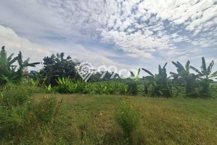 Lahan Kosong Dijual di Warureja, Tegal, Luas 80000m2 Area Strategis Lahan Kosong Dijual di Warureja, Tegal, Luas 80000m2 Area Strategis
