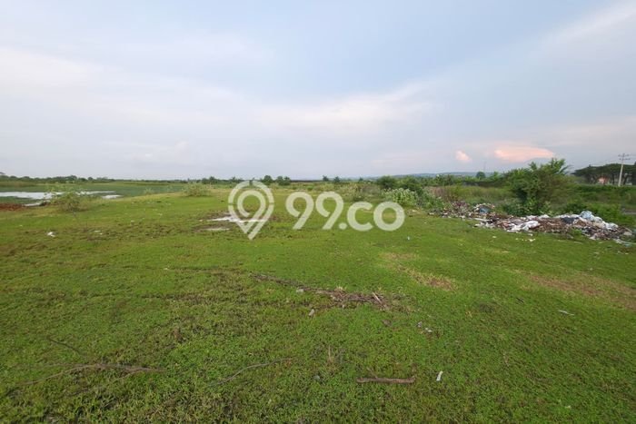 Tanah Komersial Dijual di Kaliwungu Kendal 100000m2 Tanah Komersial Dijual di Kaliwungu Kendal 100000m2