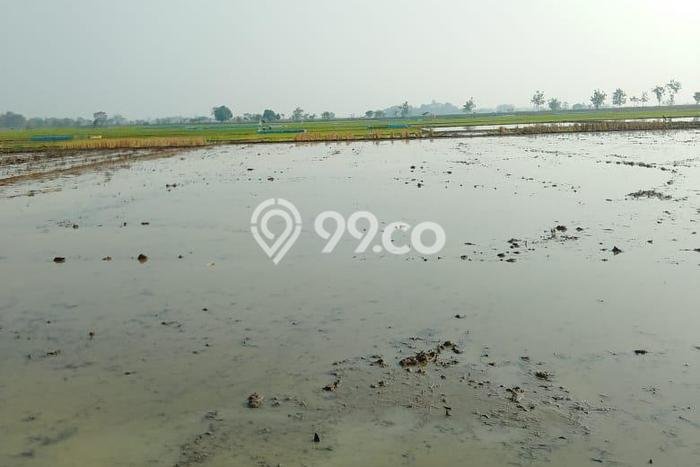 Dijual Tanah di Ligung Majalengka Luas 3170m2 - Dijual Tanah di Ligung Majalengka Luas 3170m2 -