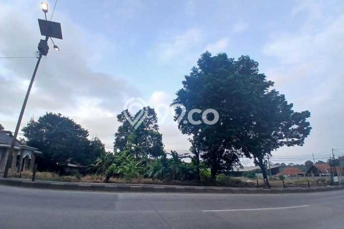 Lahan Dijual Lokasi Gringsing, Batang dengan Luas Tanah 80000m2 dan Status SHM Lahan Dijual Lokasi Gringsing, Batang dengan Luas Tanah 80000m2 dan Status SHM