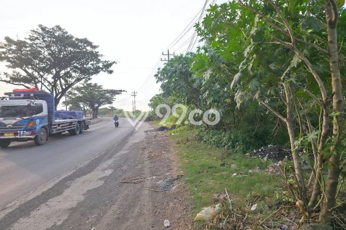 Tanah di Kaliwungu, Kendal Luas 80000m2 Dijual Segera Tanah di Kaliwungu, Kendal Luas 80000m2 Dijual Segera