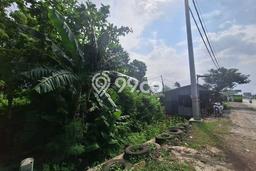 Lahan untuk Dijual di Petarukan Pemalang Luas 79000m2 Lahan untuk Dijual di Petarukan Pemalang Luas 79000m2