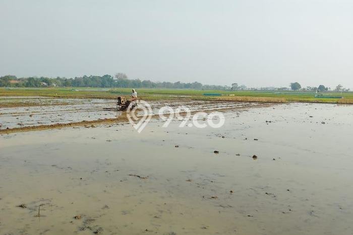 Dijual Tanah di Ligung Majalengka Luas 3170m2 - Dijual Tanah di Ligung Majalengka Luas 3170m2 -