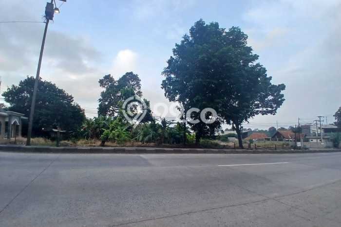 Lahan Dijual Lokasi Gringsing, Batang dengan Luas Tanah 80000m2 dan Status SHM Lahan Dijual Lokasi Gringsing, Batang dengan Luas Tanah 80000m2 dan Status SHM