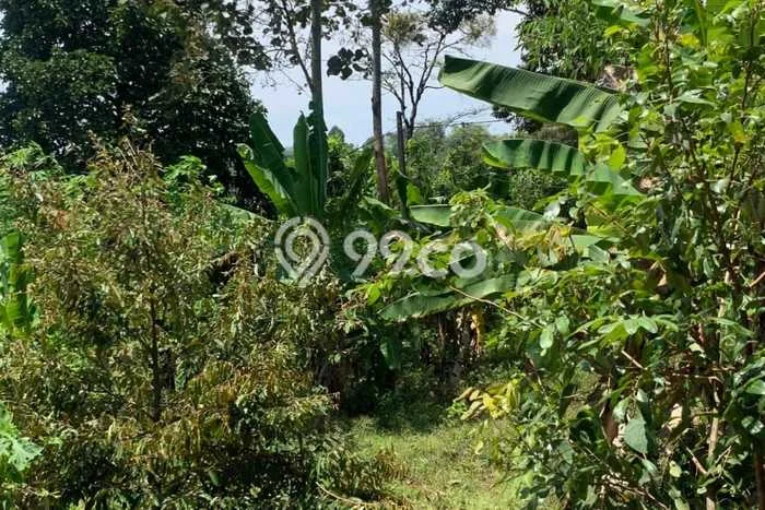 Lahan untuk Dijual di Sumedang Utara Sumedang Luas 1076m2 Lahan untuk Dijual di Sumedang Utara Sumedang Luas 1076m2