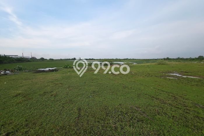 Tanah Komersial Dijual di Kaliwungu Kendal 100000m2 Tanah Komersial Dijual di Kaliwungu Kendal 100000m2