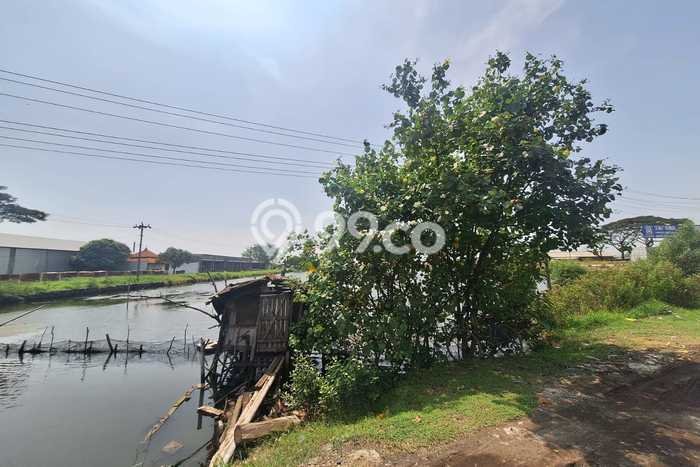 Tanah untuk Dijual Lokasi Kaliwungu, Kendal Luas 79000m2 SHM Tanah untuk Dijual Lokasi Kaliwungu, Kendal Luas 79000m2 SHM