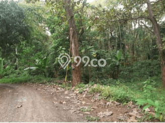 Untuk Dijual Tanah di Gringsing Batang Luas 90000m2 - Untuk Dijual Tanah di Gringsing Batang Luas 90000m2 -