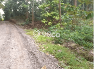 Untuk Dijual Tanah di Gringsing Batang Luas 90000m2 - Untuk Dijual Tanah di Gringsing Batang Luas 90000m2 -