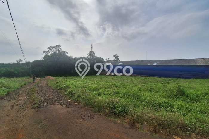 Lahan Kosong Dijual di Tulis, Batang, Luas 100000m2 Area Strategis Lahan Kosong Dijual di Tulis, Batang, Luas 100000m2 Area Strategis