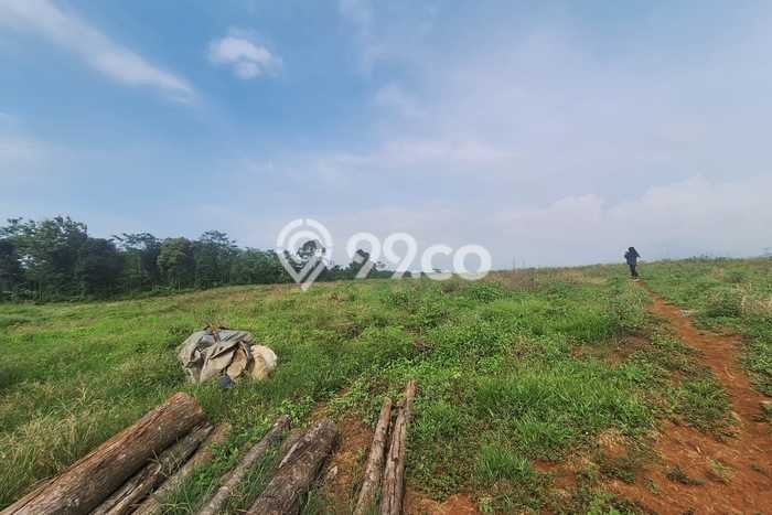 Lahan Kosong Dijual di Tulis, Batang, Luas 100000m2 Area Strategis Lahan Kosong Dijual di Tulis, Batang, Luas 100000m2 Area Strategis
