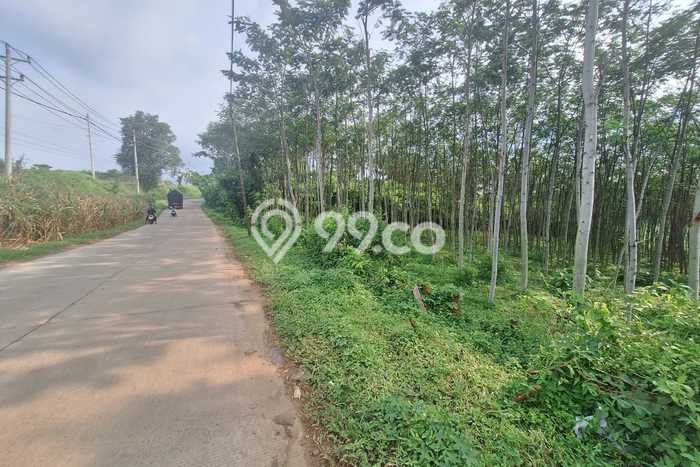 Lahan Kosong Dijual di Tulis, Batang, Luas 80000m2 Area Strategis Lahan Kosong Dijual di Tulis, Batang, Luas 80000m2 Area Strategis