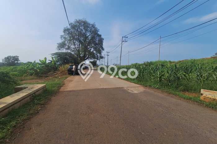 Lahan Kosong Dijual di Tulis, Batang, Luas 80000m2 Area Strategis Lahan Kosong Dijual di Tulis, Batang, Luas 80000m2 Area Strategis