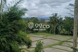 Siap Disewakan Tanah di Tampaksiring Luas 8200m2 Area Potensial Siap Disewakan Tanah di Tampaksiring Luas 8200m2 Area Potensial