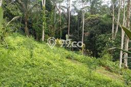 Lahan Kosong Dijual di Gianyar dengan Area 1500m2 Lahan Kosong Dijual di Gianyar dengan Area 1500m2