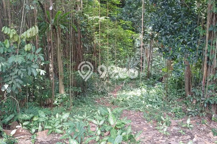 Untuk Dijual Tanah 1700m2 di Bedulu, Gianyar Untuk Dijual Tanah 1700m2 di Bedulu, Gianyar
